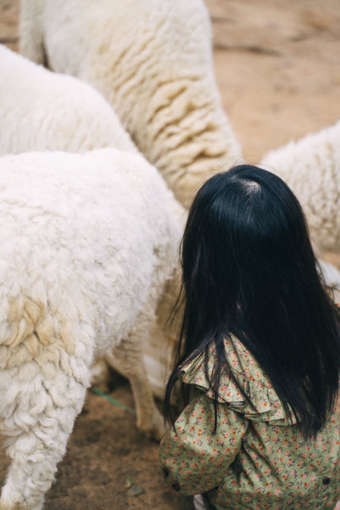 featured-portfolio-04 Pexels Photo 6796576